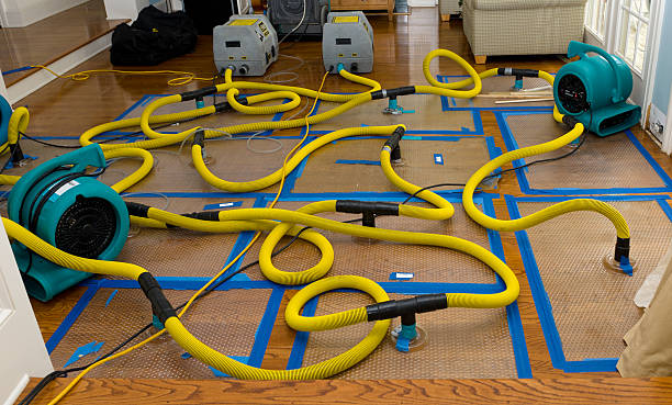 Professional Crawl Space Water Removal technician working in Parsippany, NJ